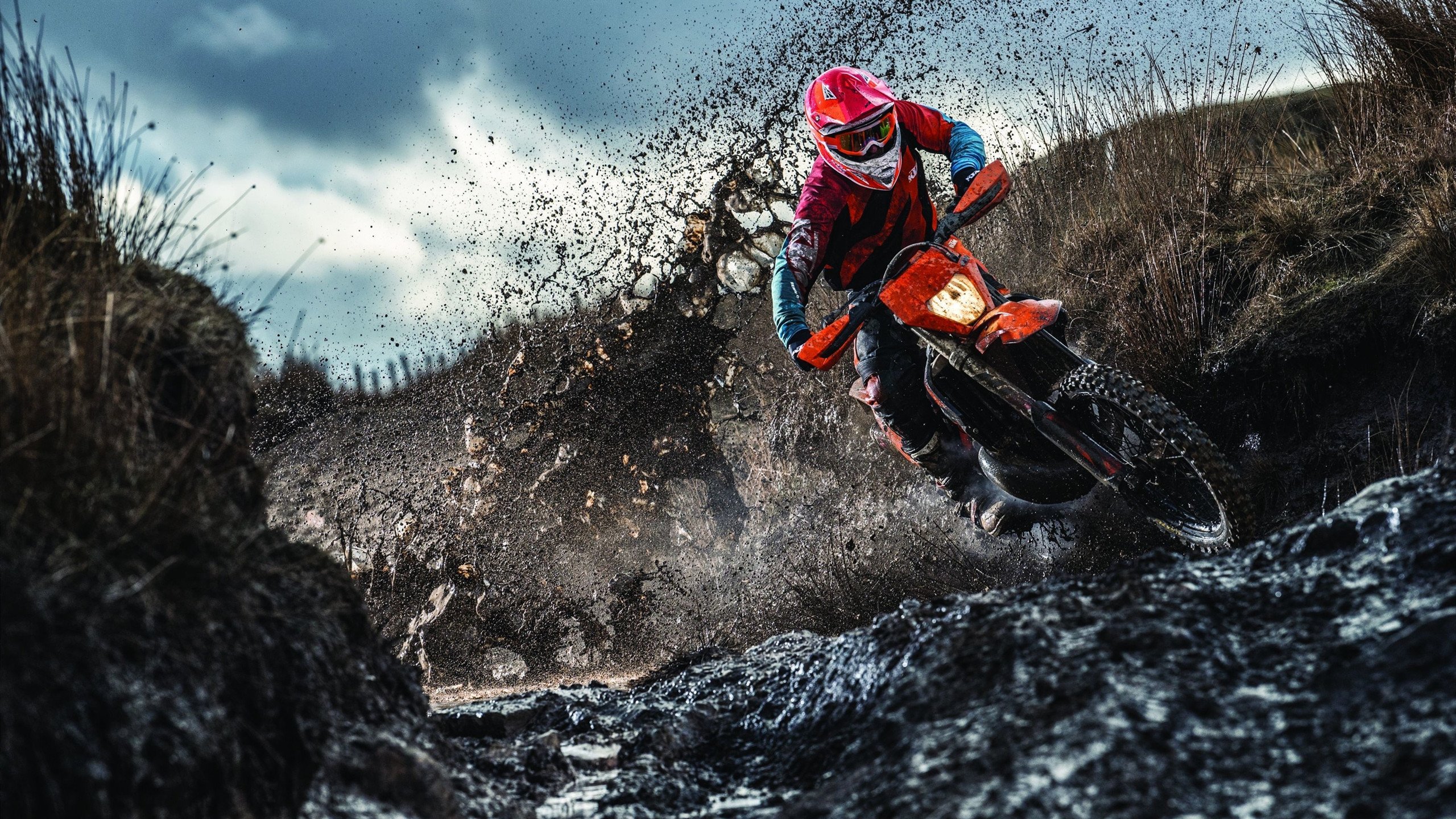 混合接力赛场 美国队展现冠军风范，美国4×400米混合接力